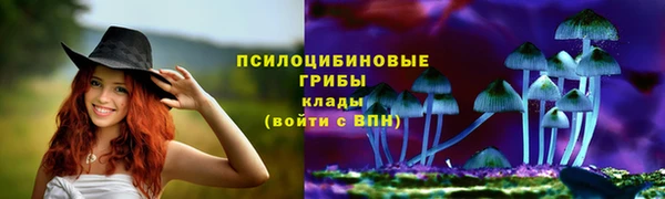 шишки Верея